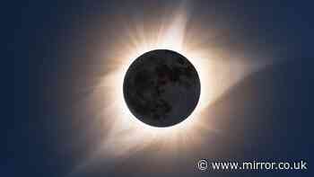 How to make pinhole projector to view solar eclipse as special glasses sell out