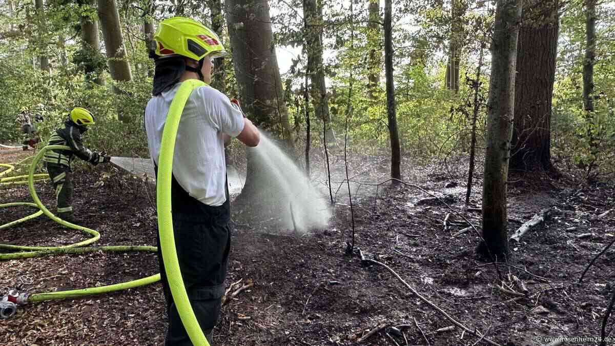 Flächenbrand bei Edling – zahlreiche Rettungskräfte gefordert