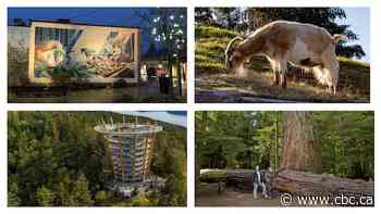 Search for B.C.'s best roadside attraction: Vancouver Island semifinals