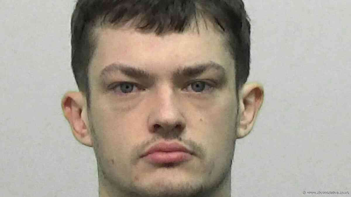 Woman 'just wanted loving relationship' but Northumberland thug subjected her to 'consistent abuse'