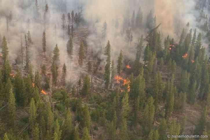 Brunswick Complex wildfires grow to over 60,000 hectares combined