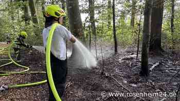 Flächenbrand bei Edling – zahlreiche Rettungskräfte gefordert