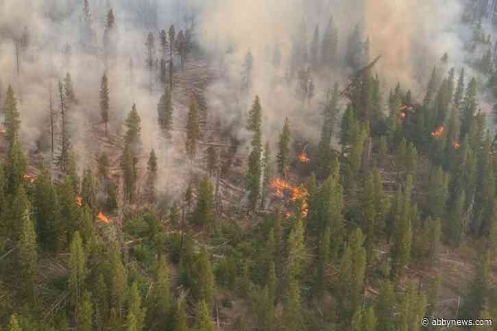 Brunswick Complex wildfires grow to over 60,000 hectares combined