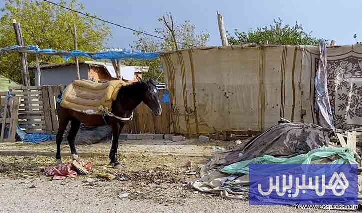 الهشاشة تلتهم "نزالة الرداية"