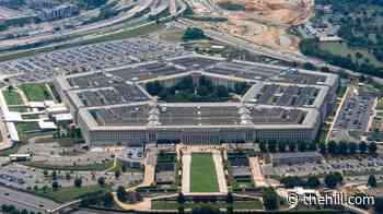 Democrats investigating efforts to deport service members, families