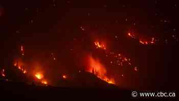 B.C. wildfires: What's burning as province declares state of emergency