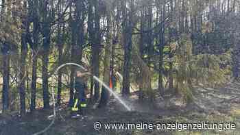 Waldbrand bedroht Wohngebäude in Freising –  Feuerwehrleute gehen bis an Belastungsgrenze