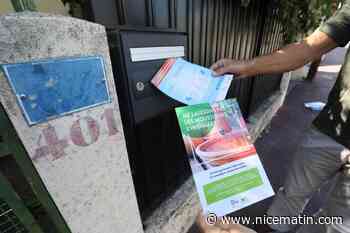 « J’ai acheté des moustiquaires que je n’ai finalement jamais installées » : y a-t-il vraiment moins de moustiques cet été à Nice ?