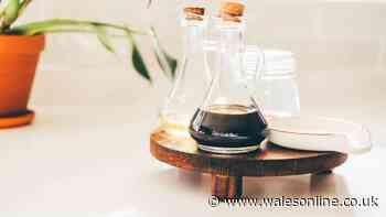 White, distilled and malt vinegar: what's the difference and which should you use?
