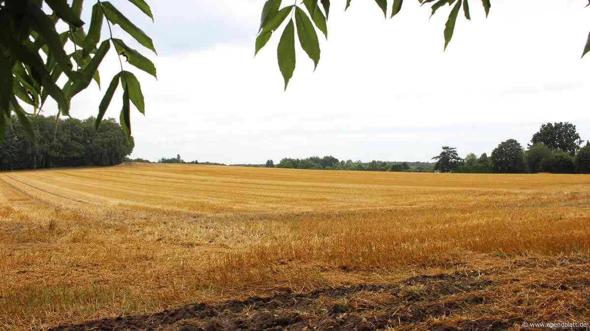 Auf diesem goldenen Hügel sollen Hunderte Wohnungen wachsen – aber wann?