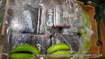 £232 million worth of cocaine hidden in banana boxes at Essex port