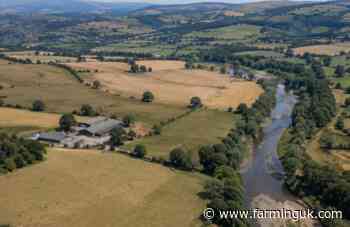 Drought now grips 71% of England as farm pressure builds