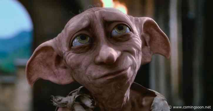 Harry Potter Fans Just Saved Dobby’s Memorial From a Multimillion-Dollar Pipeline
