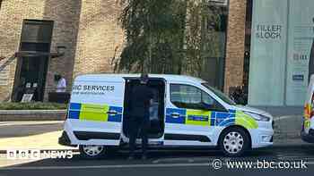 Six arrested after woman found dead