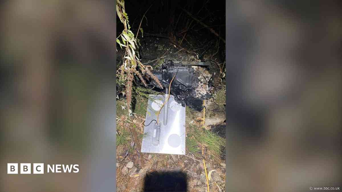 Lineside fire disrupts South East rail services