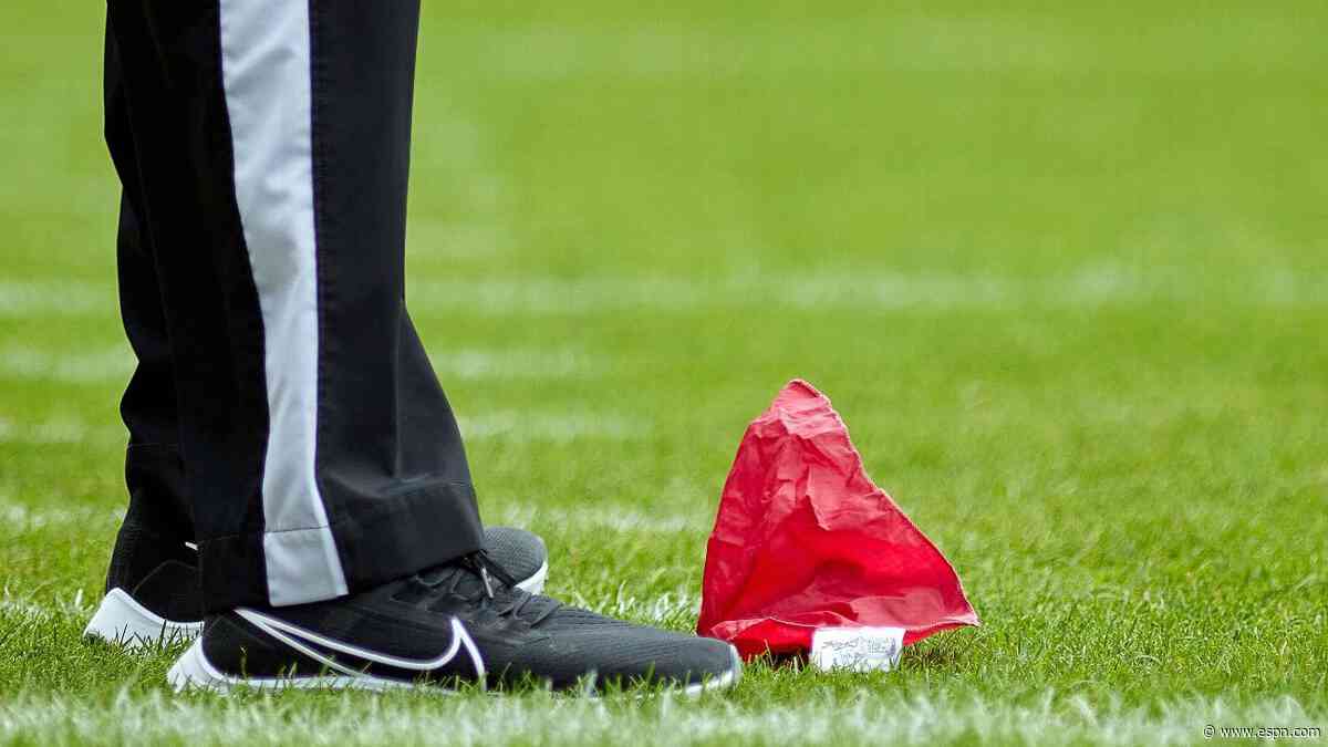 NFL to allow coach's designee to challenge calls