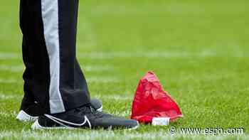 NFL to allow coach's designee to challenge calls