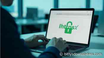 Seguridad digital: claves y señales para saber si una plataforma en internet es confiable