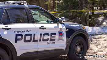 Thunder Bay's 8 homicides so far this year 'isolated incidents': deputy police chief