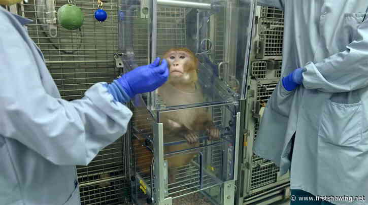 First Trailer for Heartbreaking 'Sentient' Doc About Testing on Animals