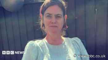Domestic abuser who murdered partner with hammer is jailed