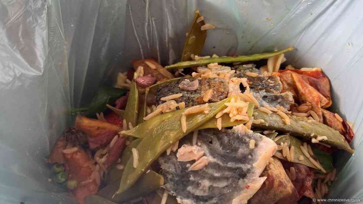 Council apologises after unwanted food waste caddies delivered to Tyneside homes
