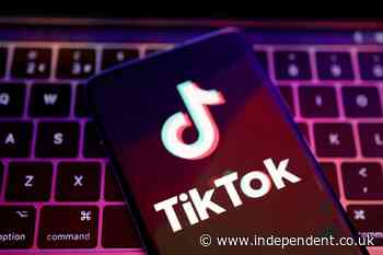 AI TikTok videos of violent vegetables could ‘radicalise’ young people, researchers warn