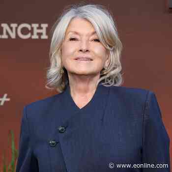 Martha Stewart Unveils Rose Gold Hair Transformation