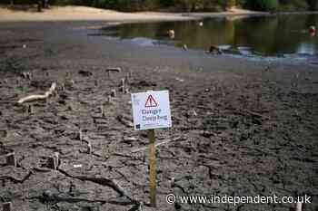 UK drought latest: 45 million people now in drought areas as expert warn conditions could get worse