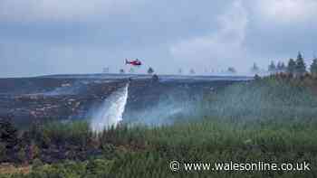 A wildfire that grew to the size of over 500 football pitches has been deliberately reignited