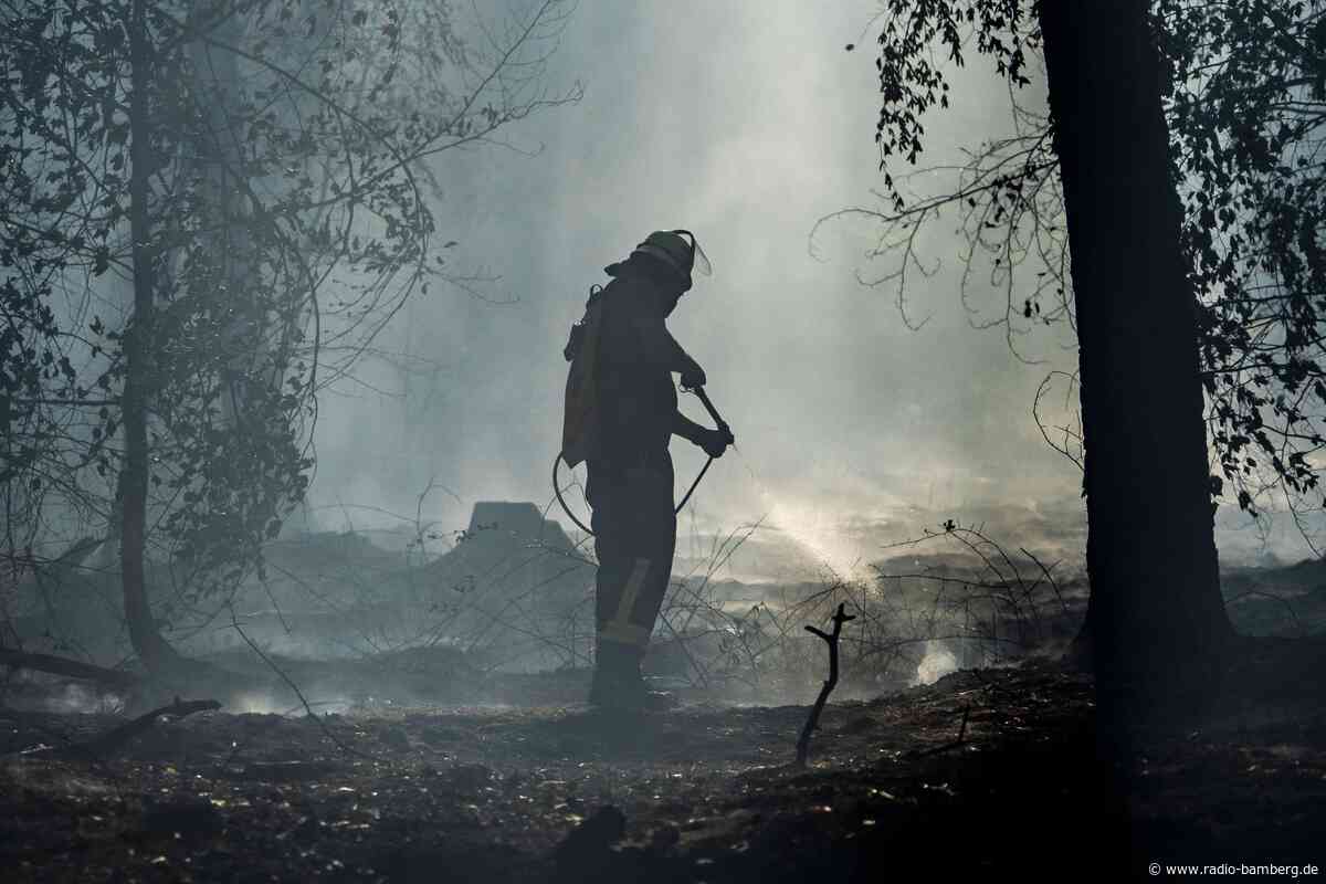 Waldbrand in Hessen an Bayerns Grenze – 30.000 Quadratmeter