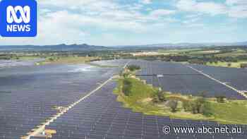 Investors 'losing patience' with slow renewables rollout, report finds