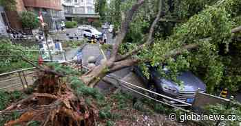 Air Canada flights resume following Typhoon Dolphin in southern China