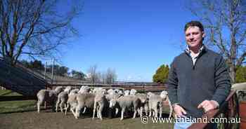 This sixth-generation farmer always wanted to do big things with sheep and now he is