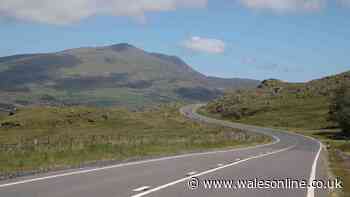Motorcyclist dies in A470 crash as police appeal for witnesses