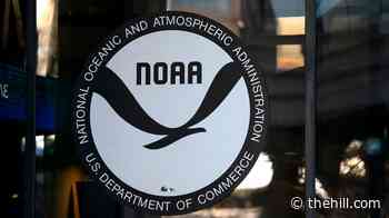 July was hottest month on record in contiguous US: NOAA