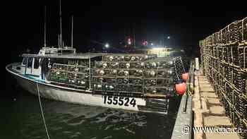 Lobster fishers optimistic as fall season gets underway after challenging spring