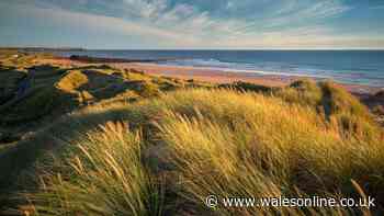 Harry Potter 'grave' on Welsh beach forces relocation of £430m power cable to Ireland