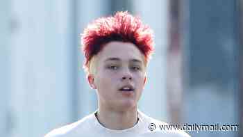 Brad Pitt's estranged son Knox, 18, debuts WILD new hair makeover after dropping actor's last name