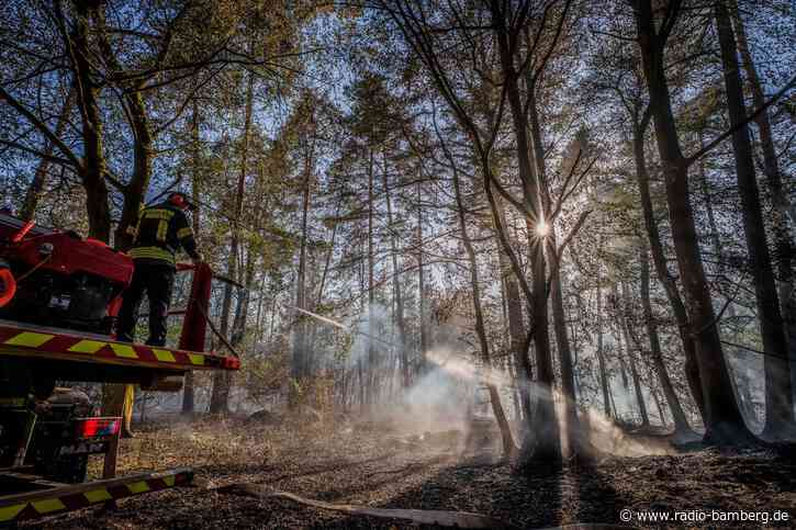 Waldbrand: Bürger sollen möglichst nicht duschen oder baden