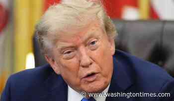 Trump says Democrats are electing 'jihadists'