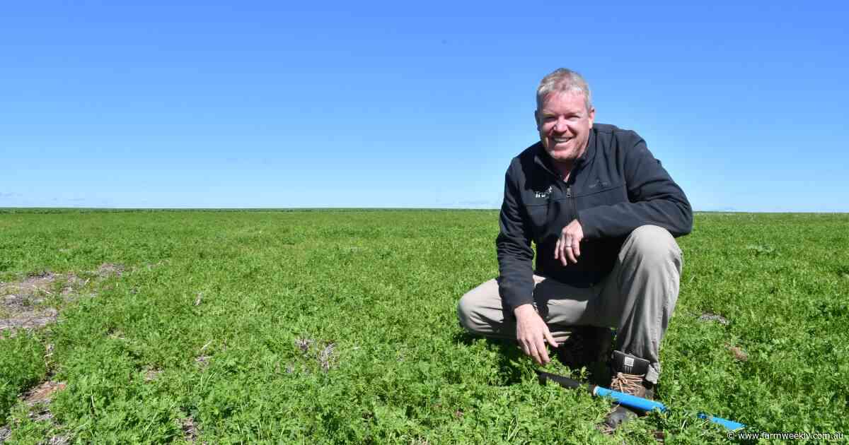 Boosting production with soil amelioration, new cropping rotations and robots