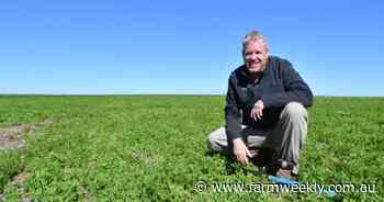 Boosting production with soil amelioration, new cropping rotations and robots