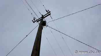 Some Calgarians hit by Rogers service disruption after theft-related fibre cut, provider says