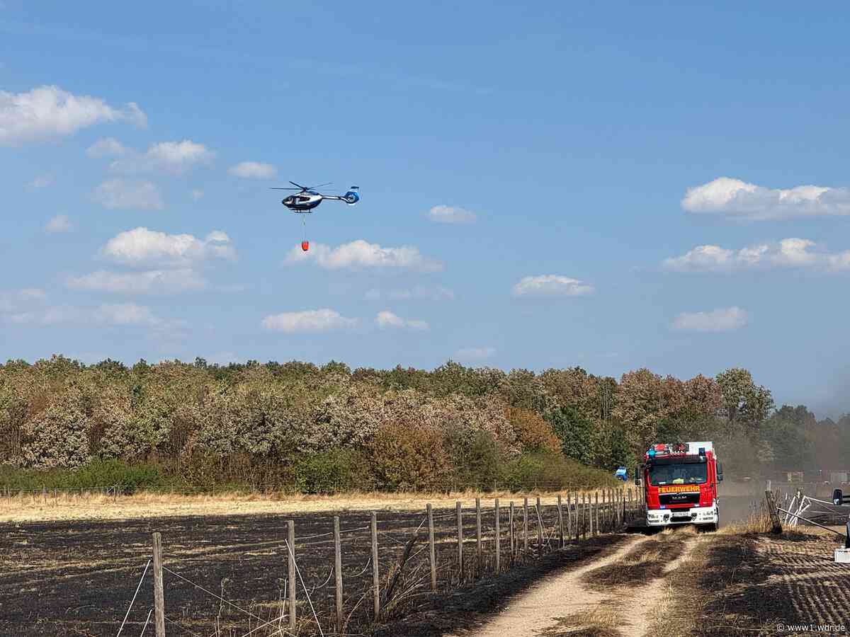 Feuer fast vollständig gelöscht