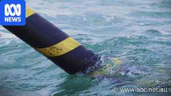 Federal police urged to investigate 'concerning' subsea cable fault