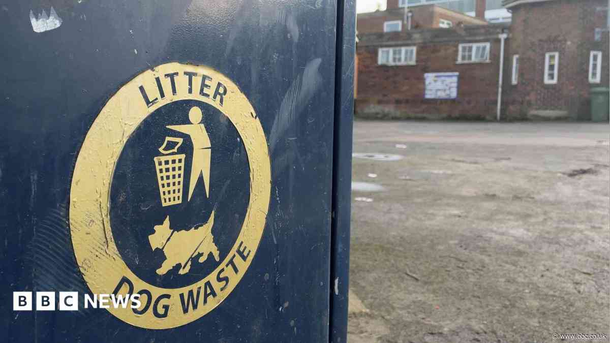Boots on ground as council cracks down on dog poo