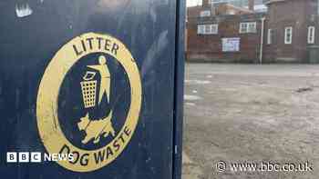Boots on ground as council cracks down on dog poo