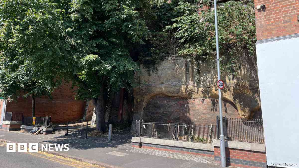 Historian 'angry' after council rejects help offer