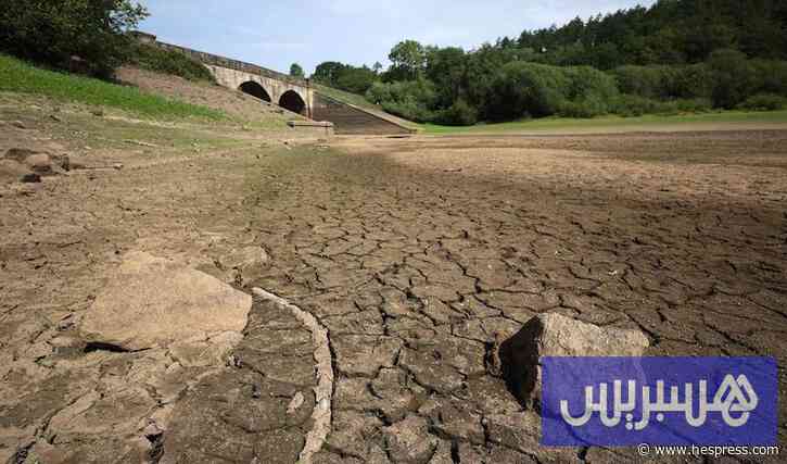 الجفاف يطال معظم مساحة بريطانيا